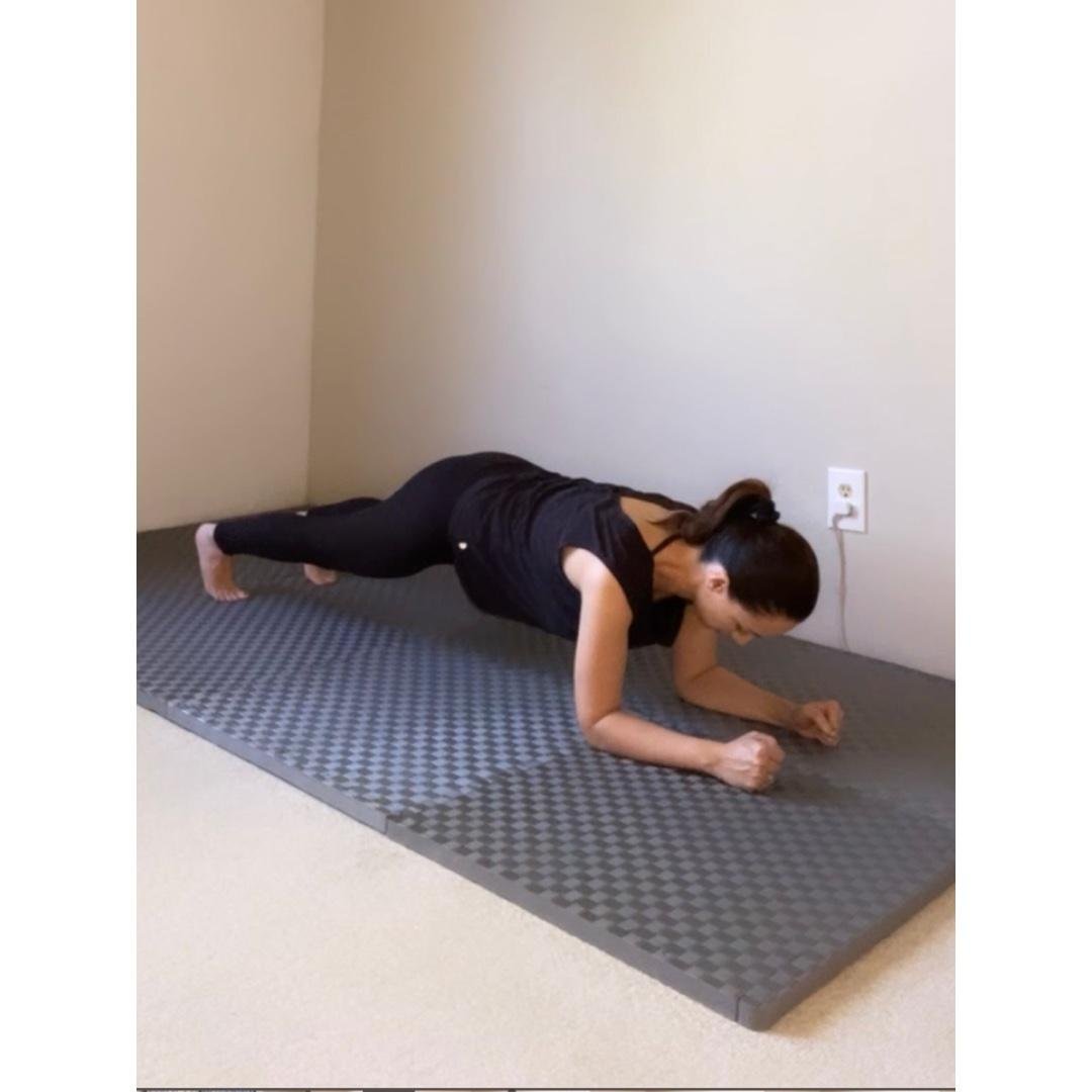 Upper Body and Core- Planks + Pushes