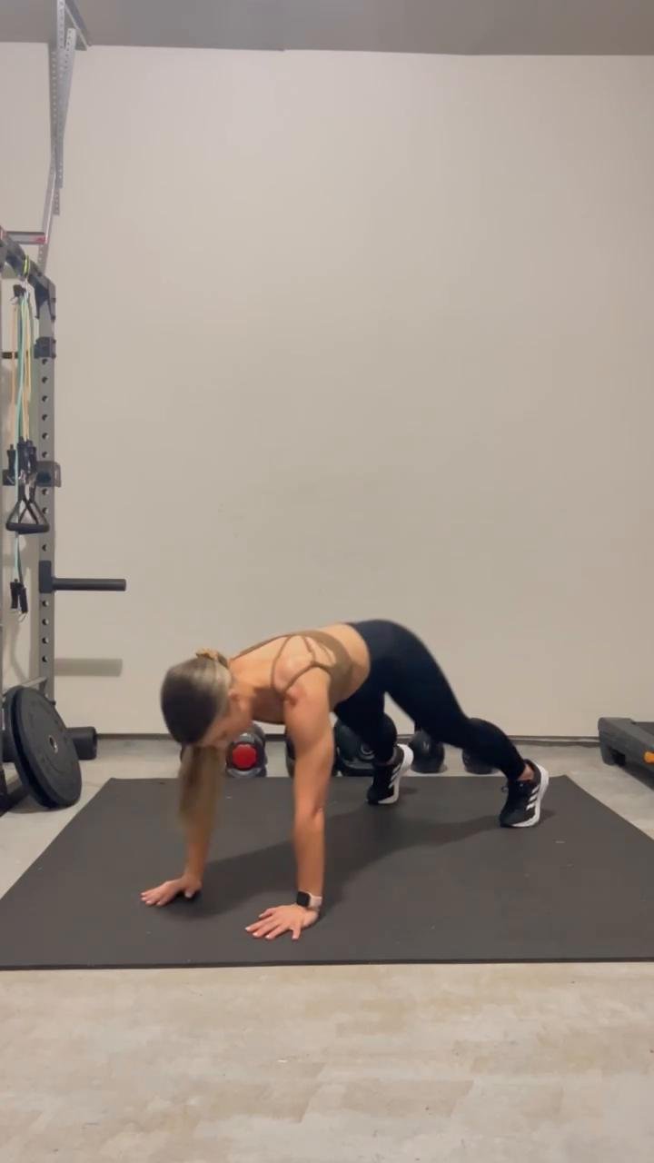 Full Body Circuit (Home/Gym)