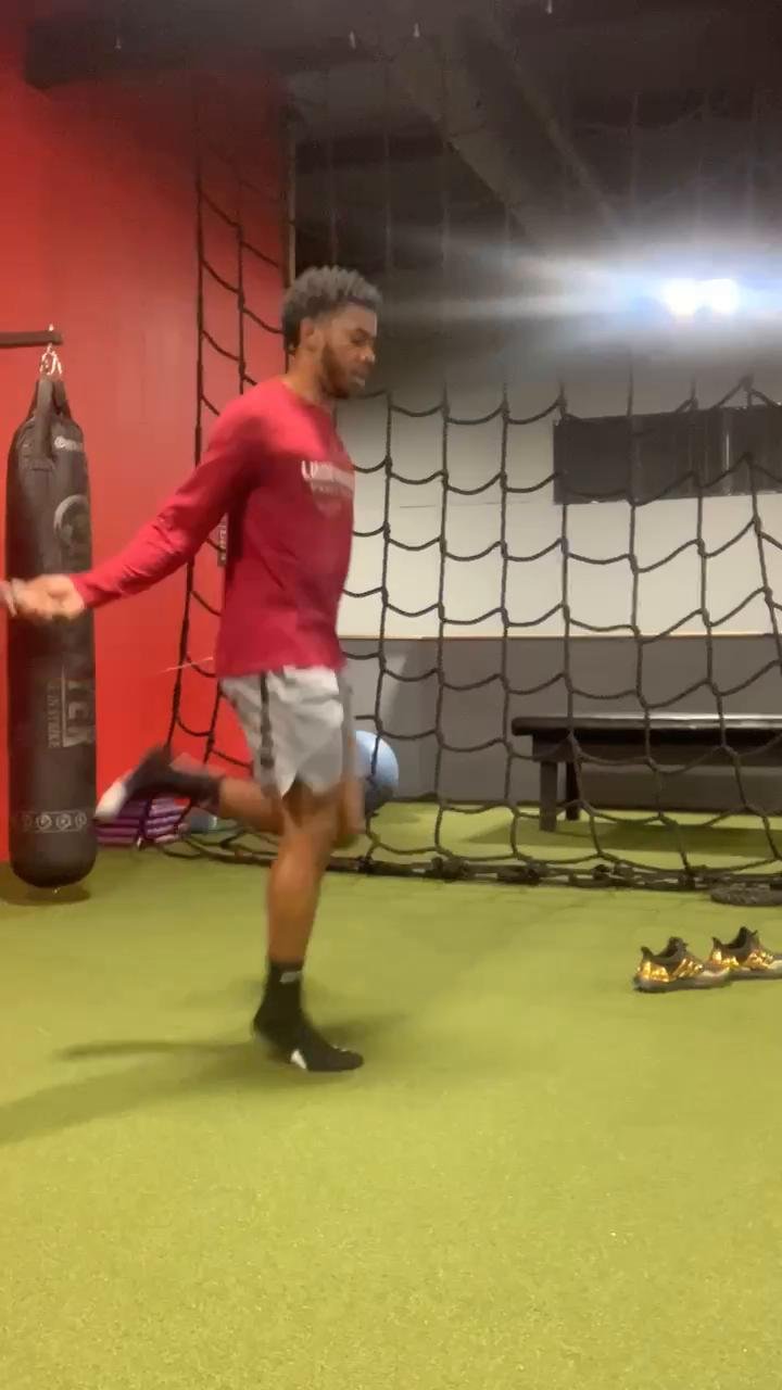 Week2 Day1: Force Absorption & Bilateral Strength