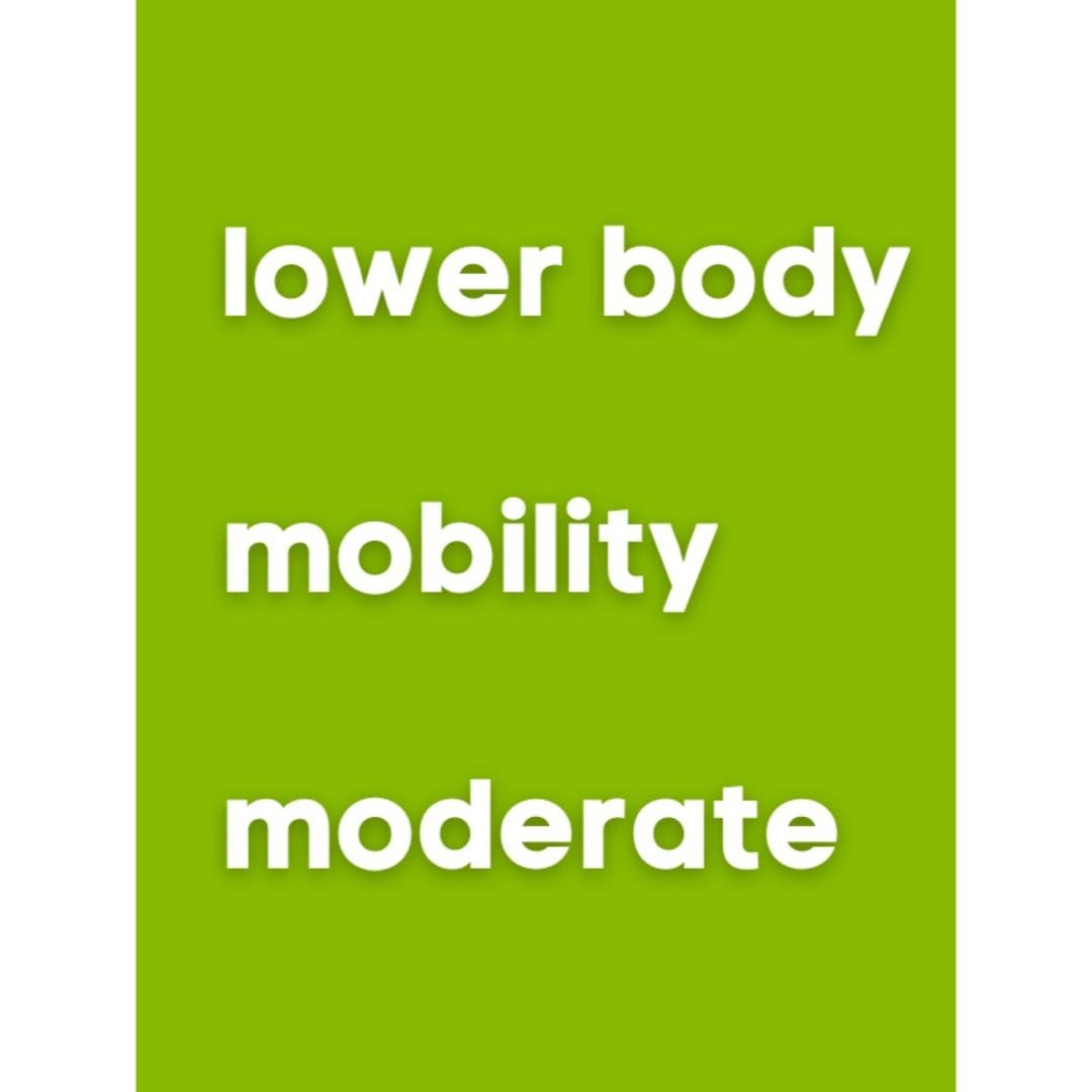 Lower Body - Mobility - Moderate