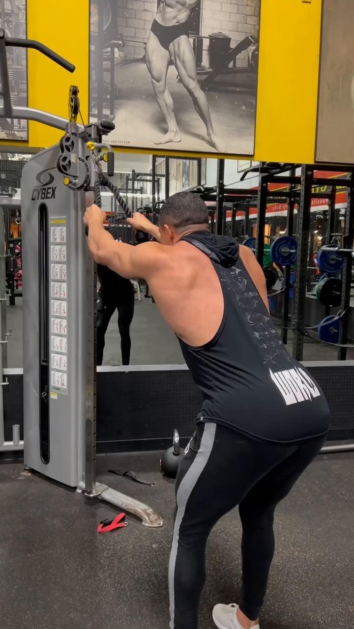 - Lower Back