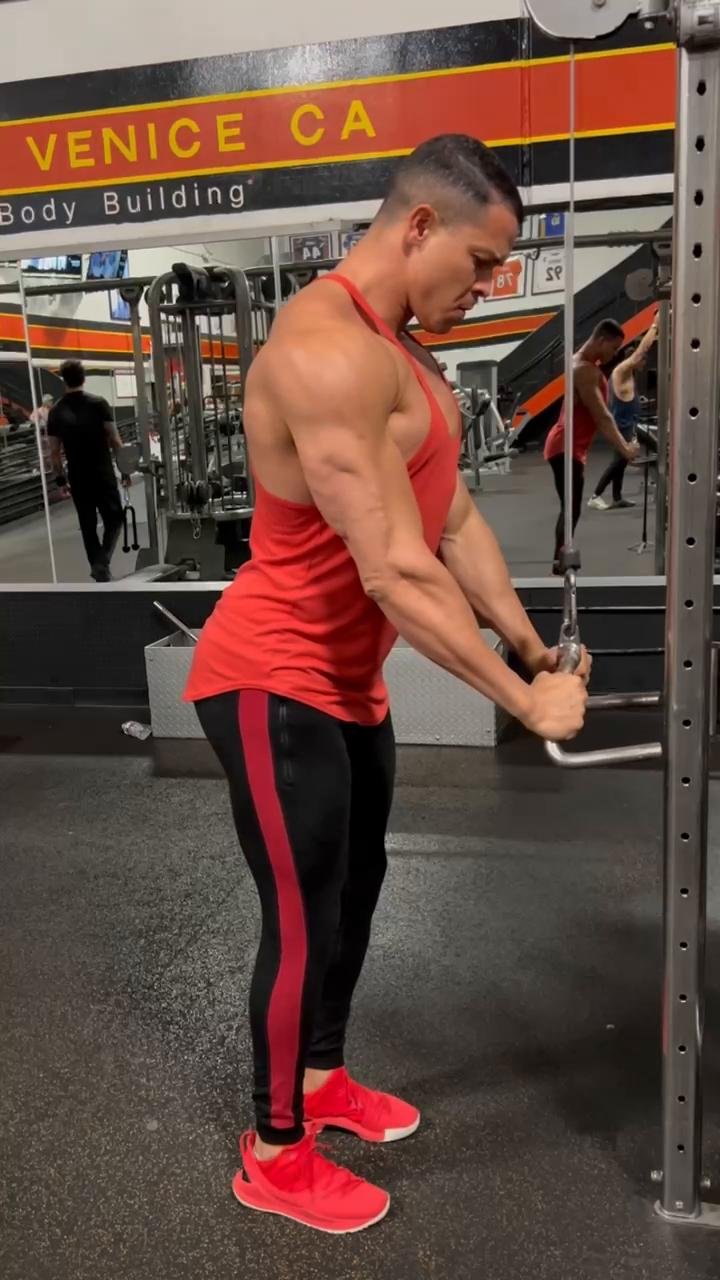- Arms