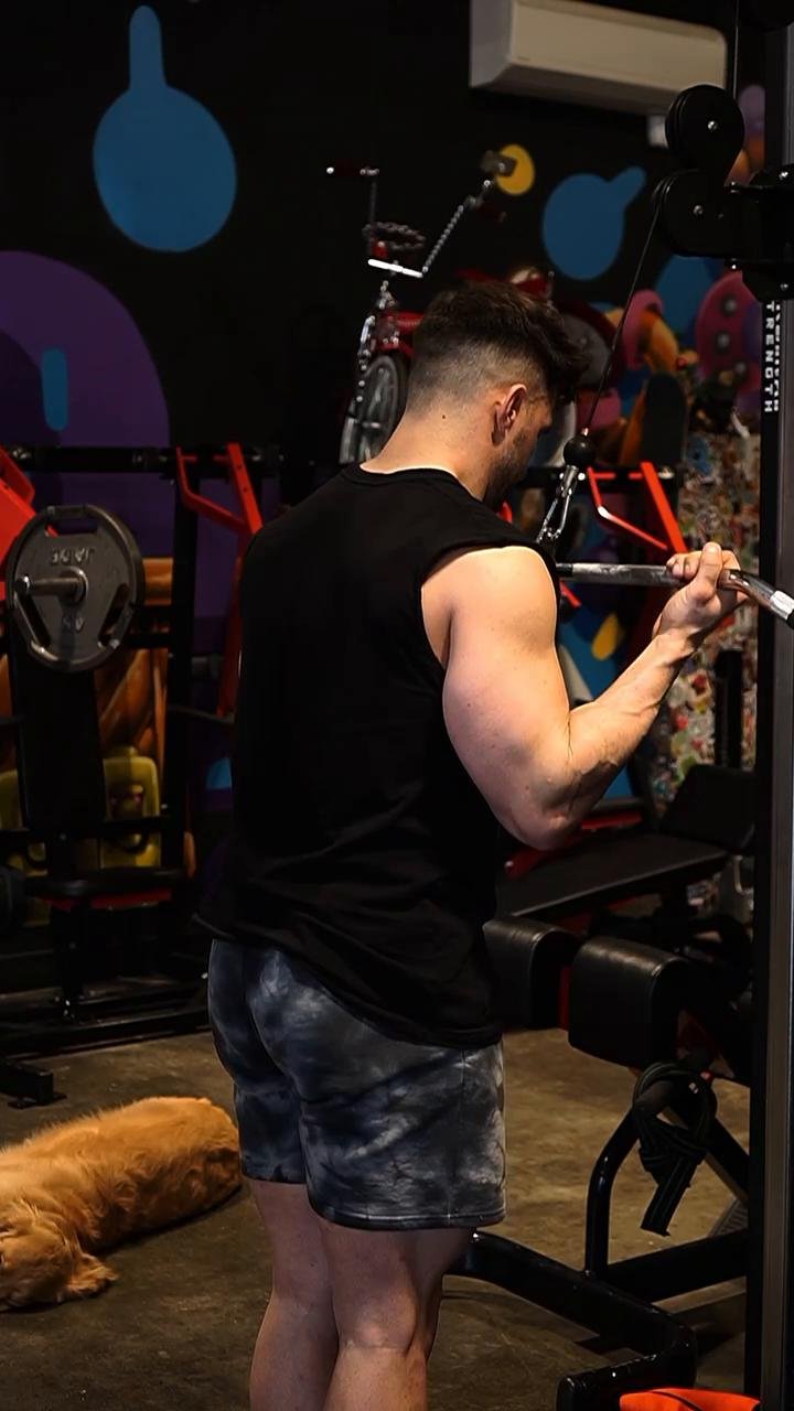 Shoulders/Triceps/Abs (1/23/24)