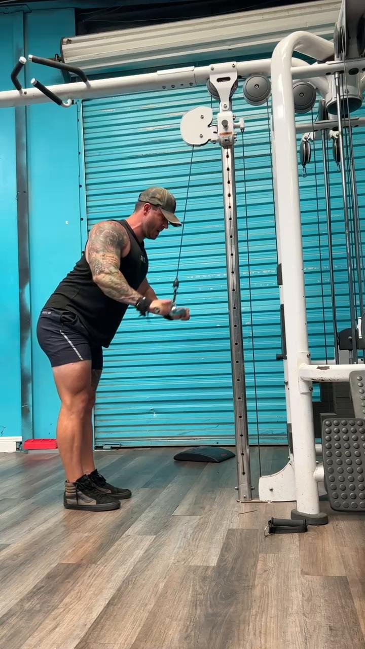 Arms and Core | Day 4