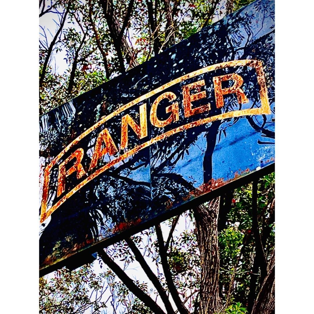 - Sprints + Functional Strength