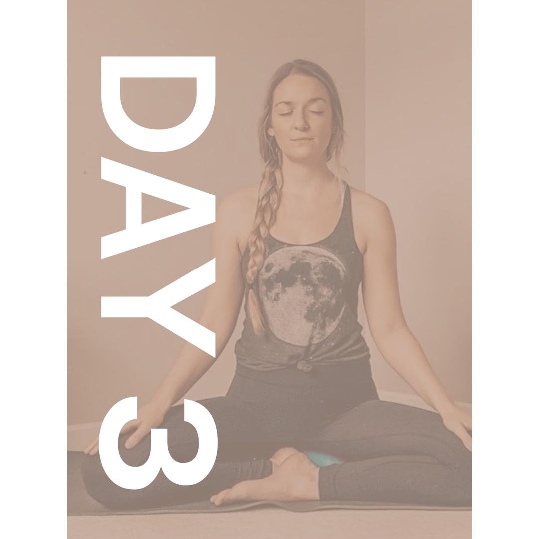 DAY 3 | Beginners Meditation