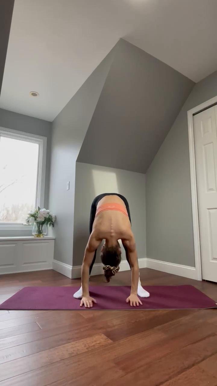 W2/D1