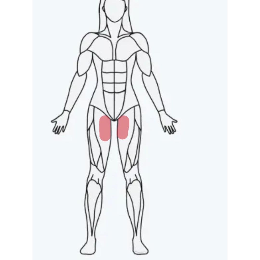 Inner things/adductors