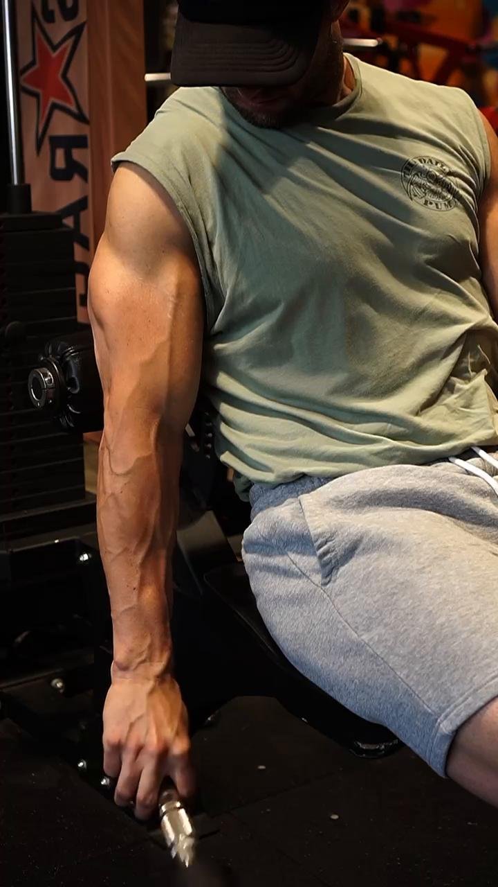Chest/Forearms (11/12/23)