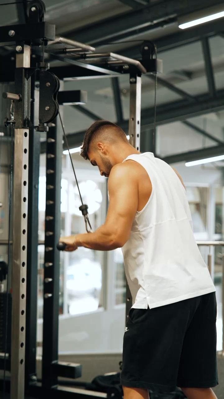 Dia 2 - Chest, Triceps & Core