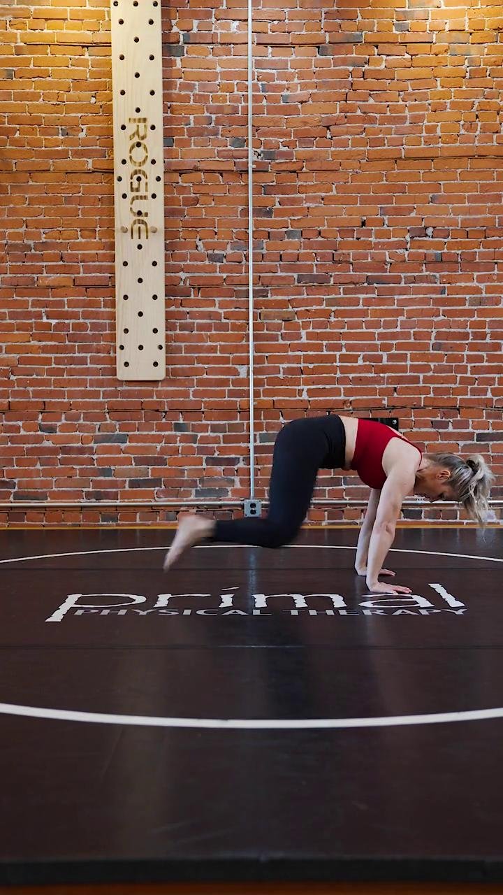 Circuit Work Day