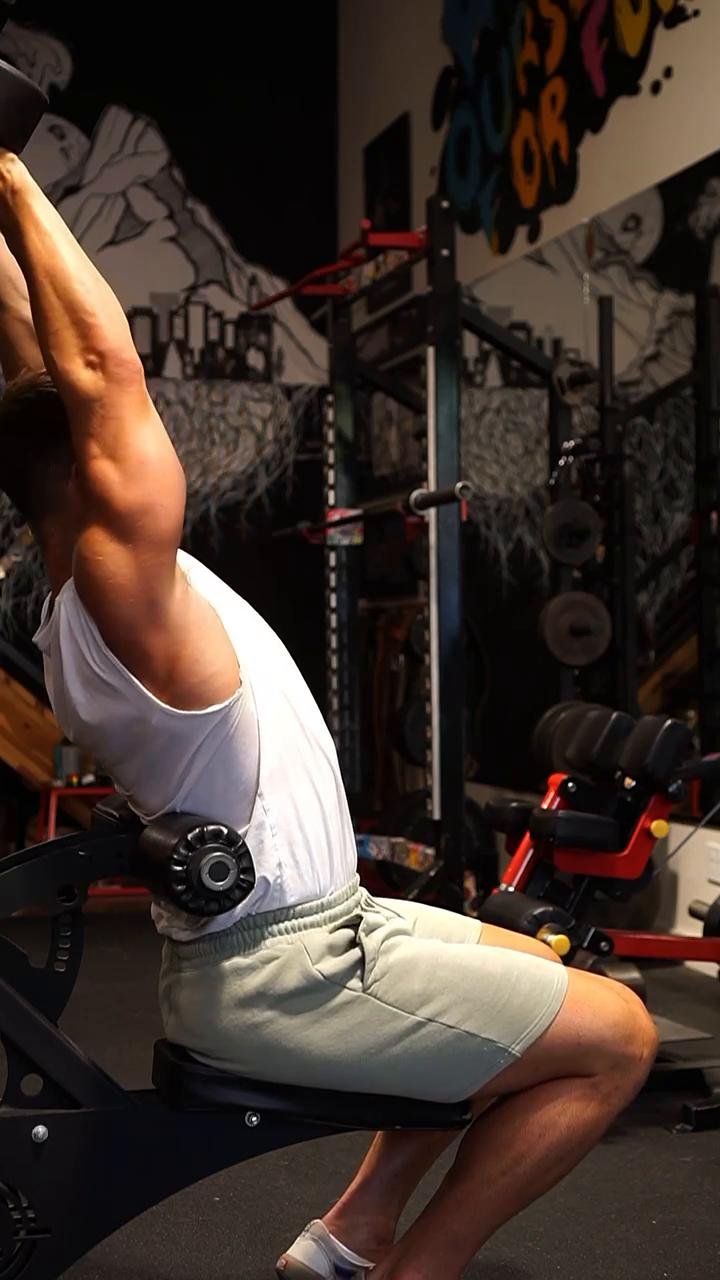Day 3: Biceps/Triceps/forearms