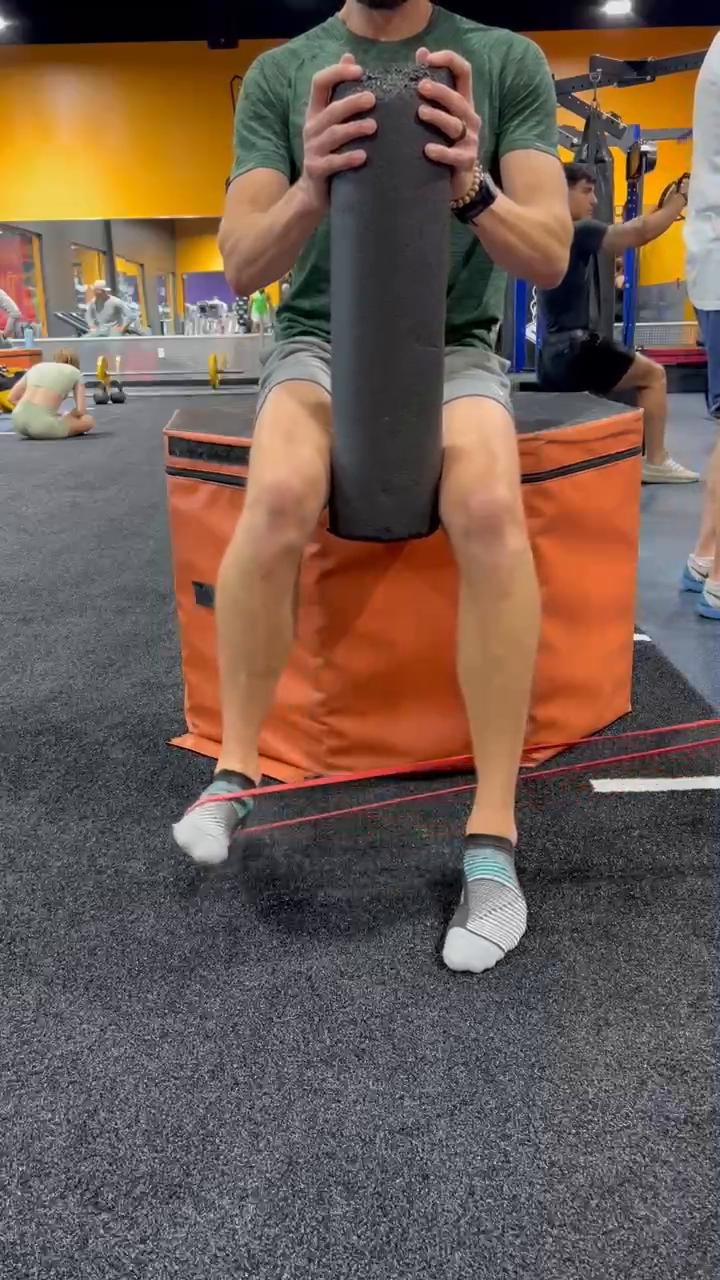 Weekly Workouts - Full Body