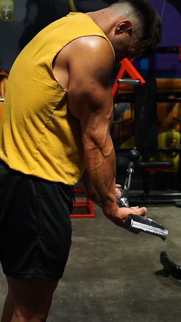 Chest/forearms (9/8/23)