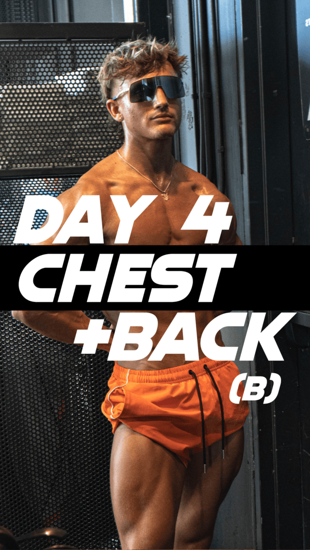 Chest & Back (B)
