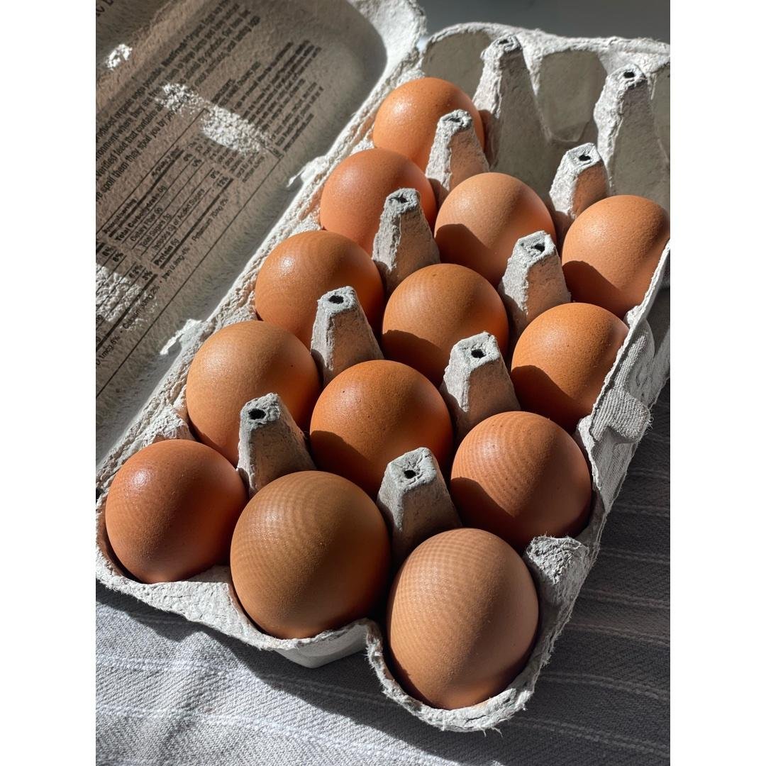 Nutrition Education