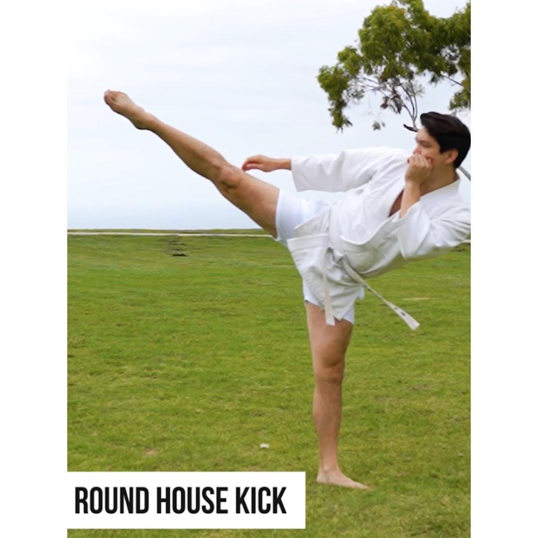 Round House Kick