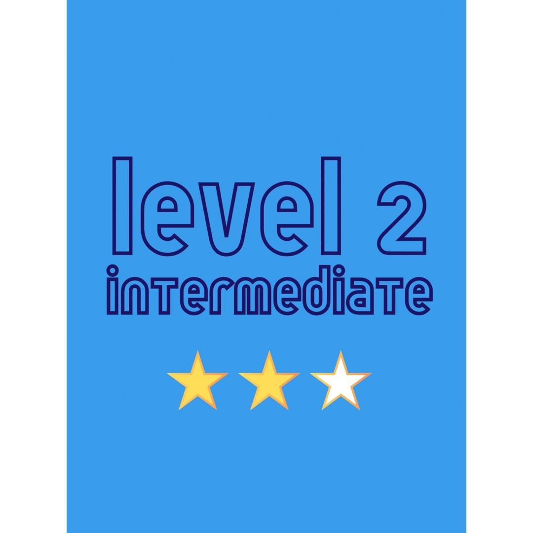 Level 2: Intermediate