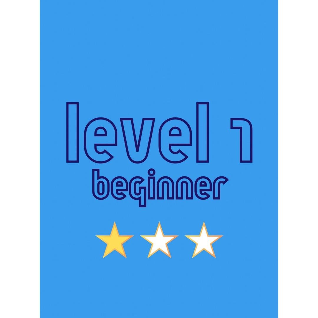 Level 1: Beginner