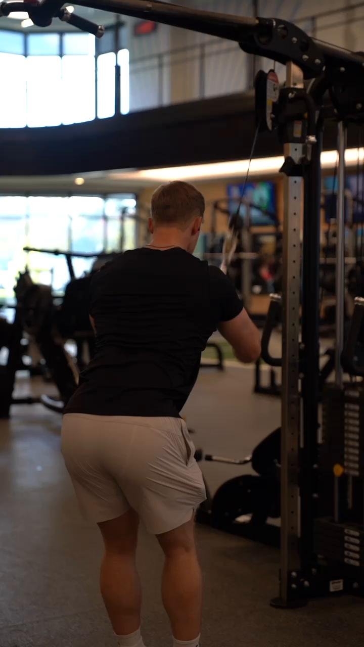 back n delts (11/24/25)