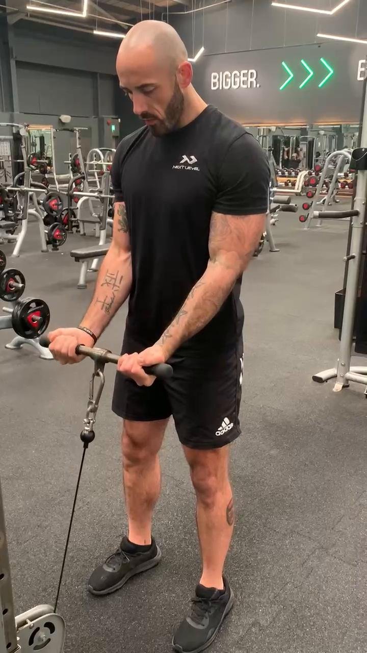 FFD Mass Conditioning & Arms