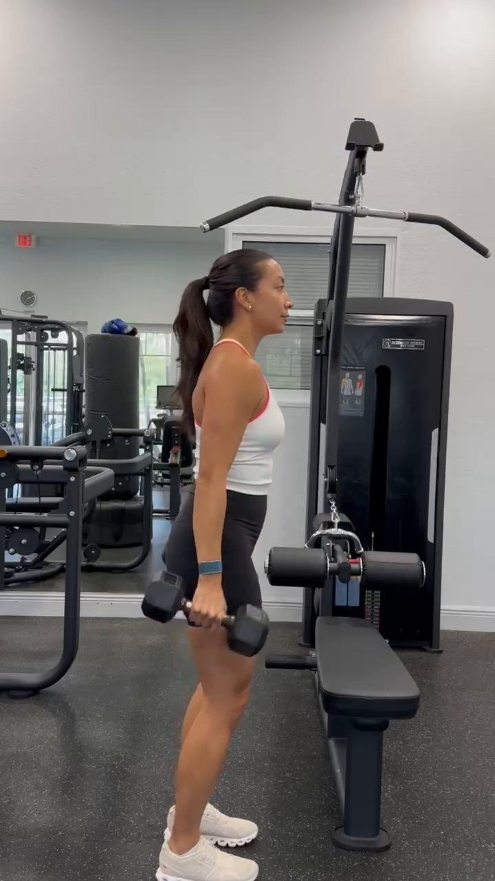 Day 2: Back + Biceps