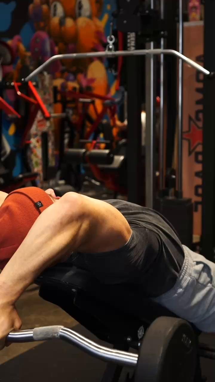Back/Rear Delts (11/13/23)