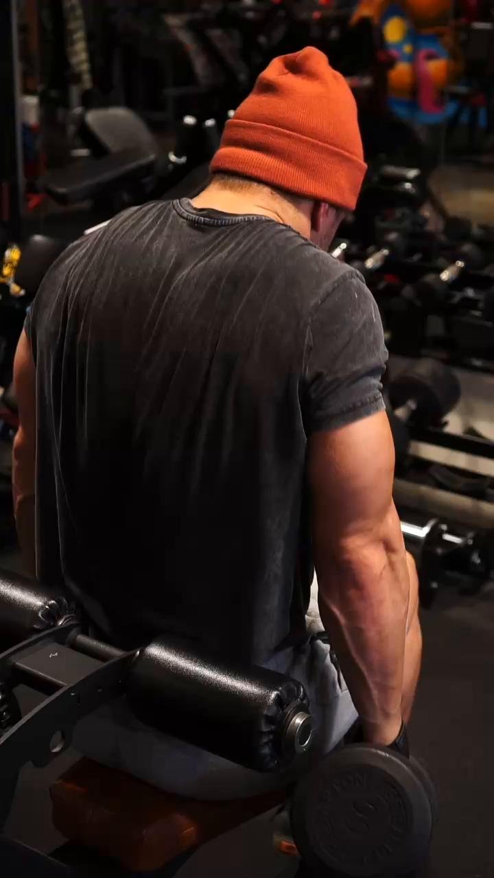 Back/Rear Delts (11/13/23)