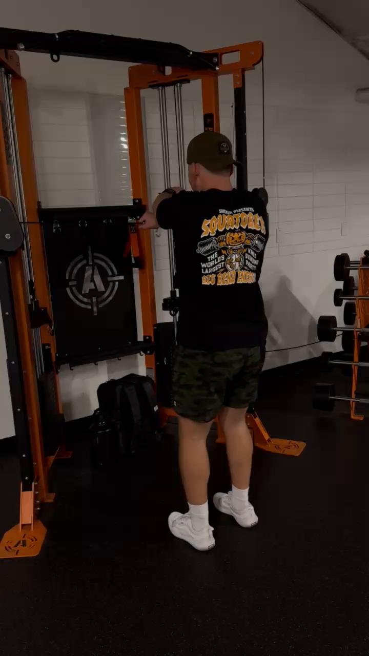 Arms & Shoulders