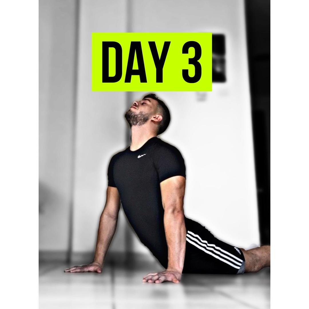 The Planche Program (Recovery)