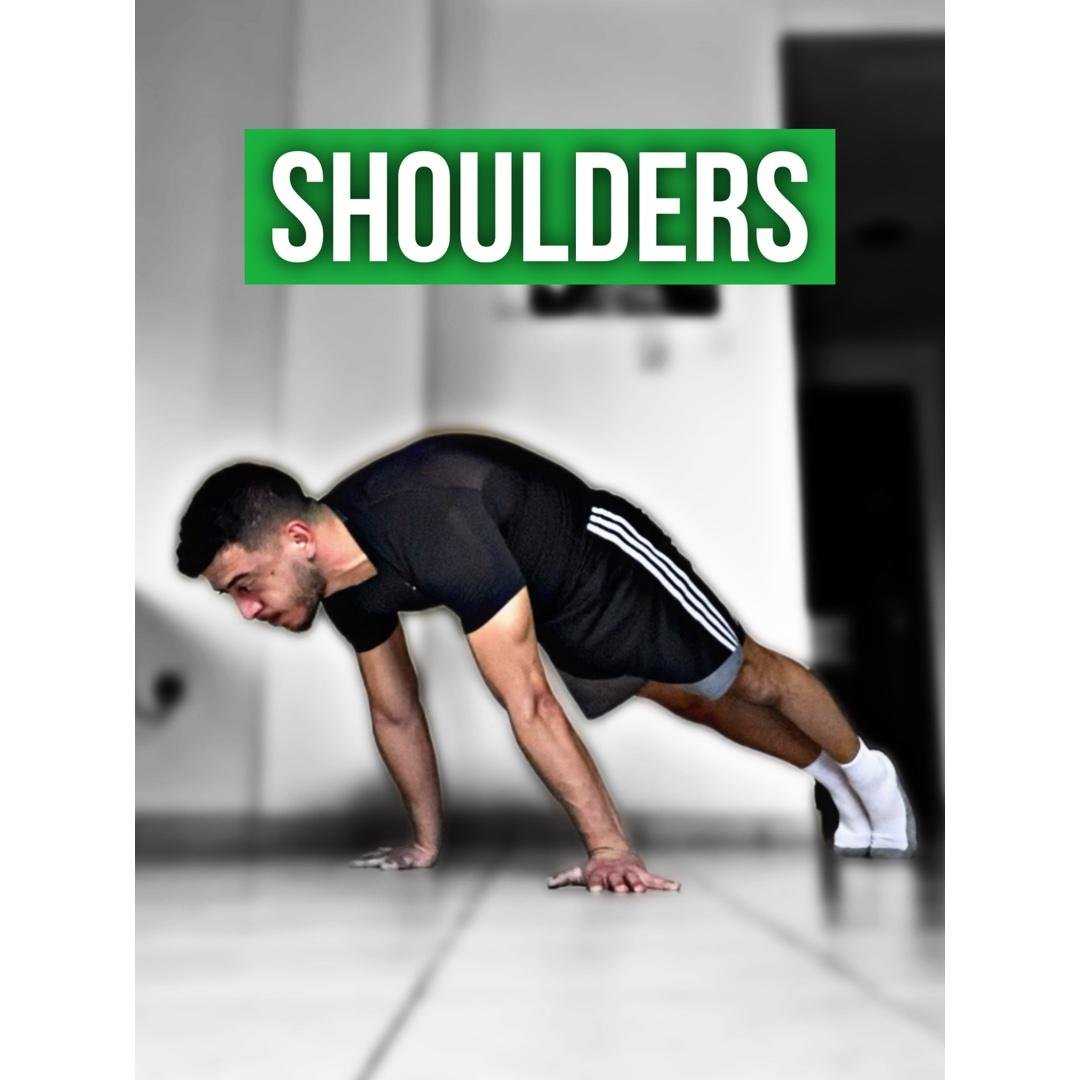Shoulders