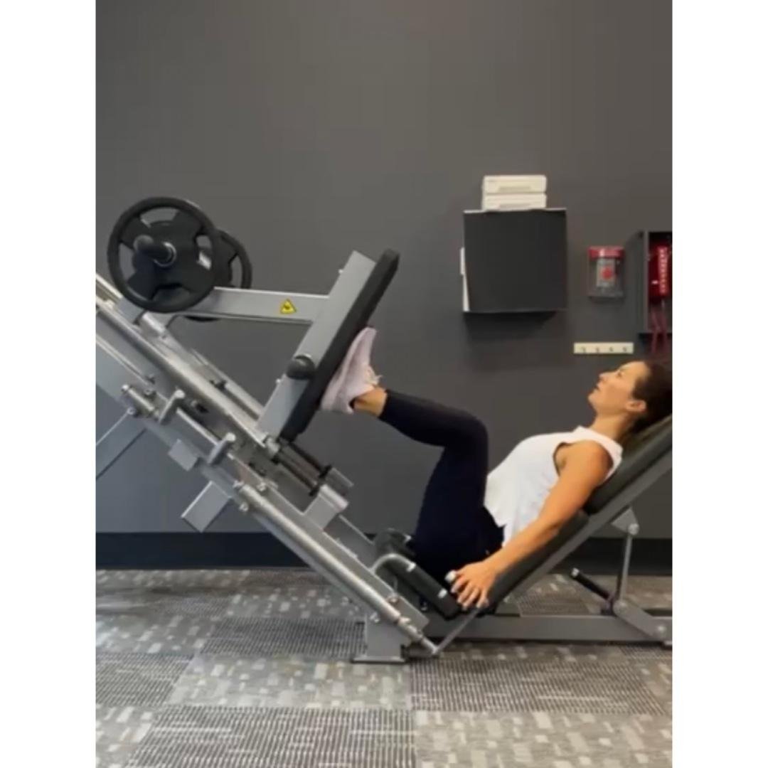 Quads Focused Leg Day