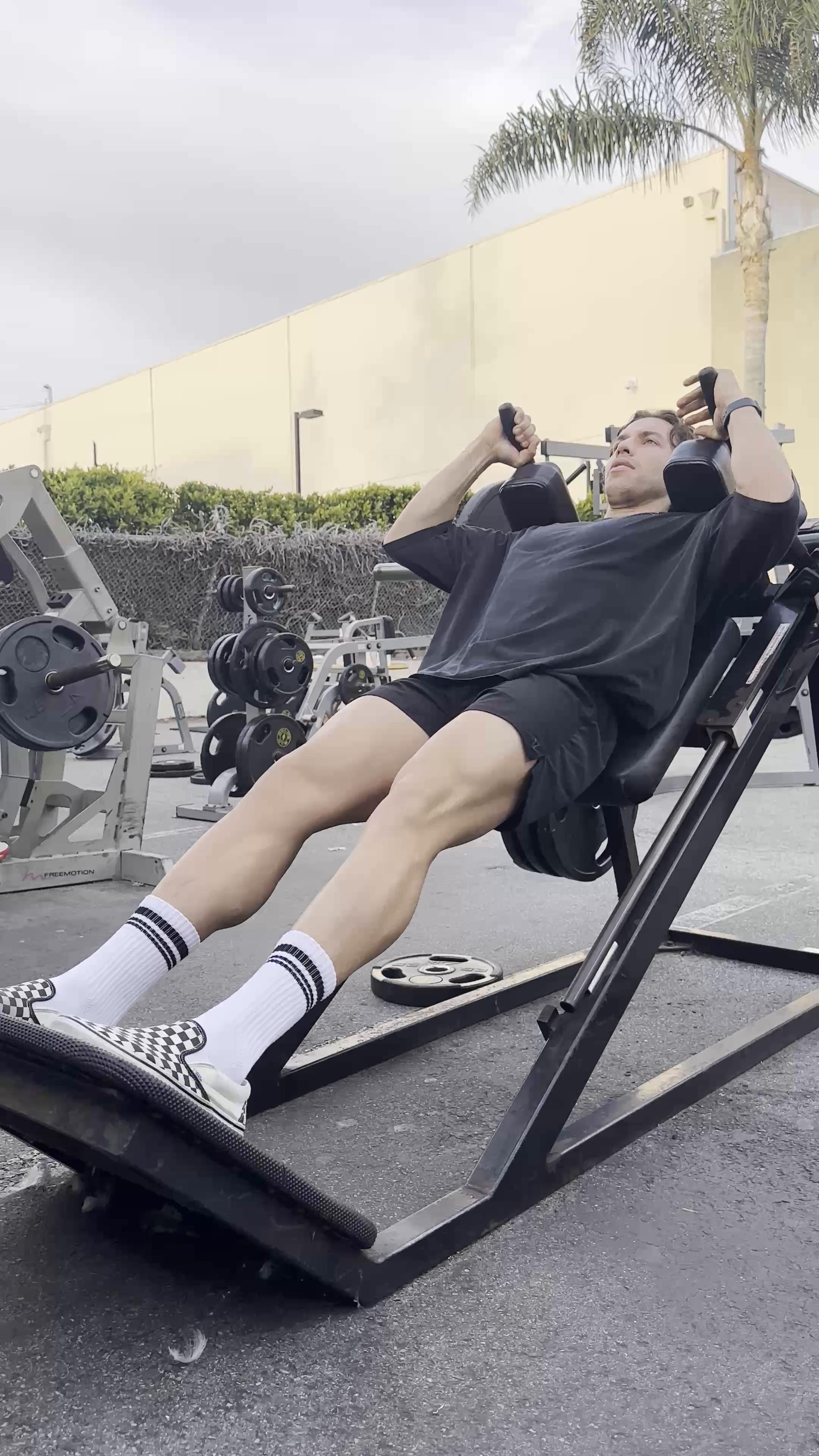 Lower Body