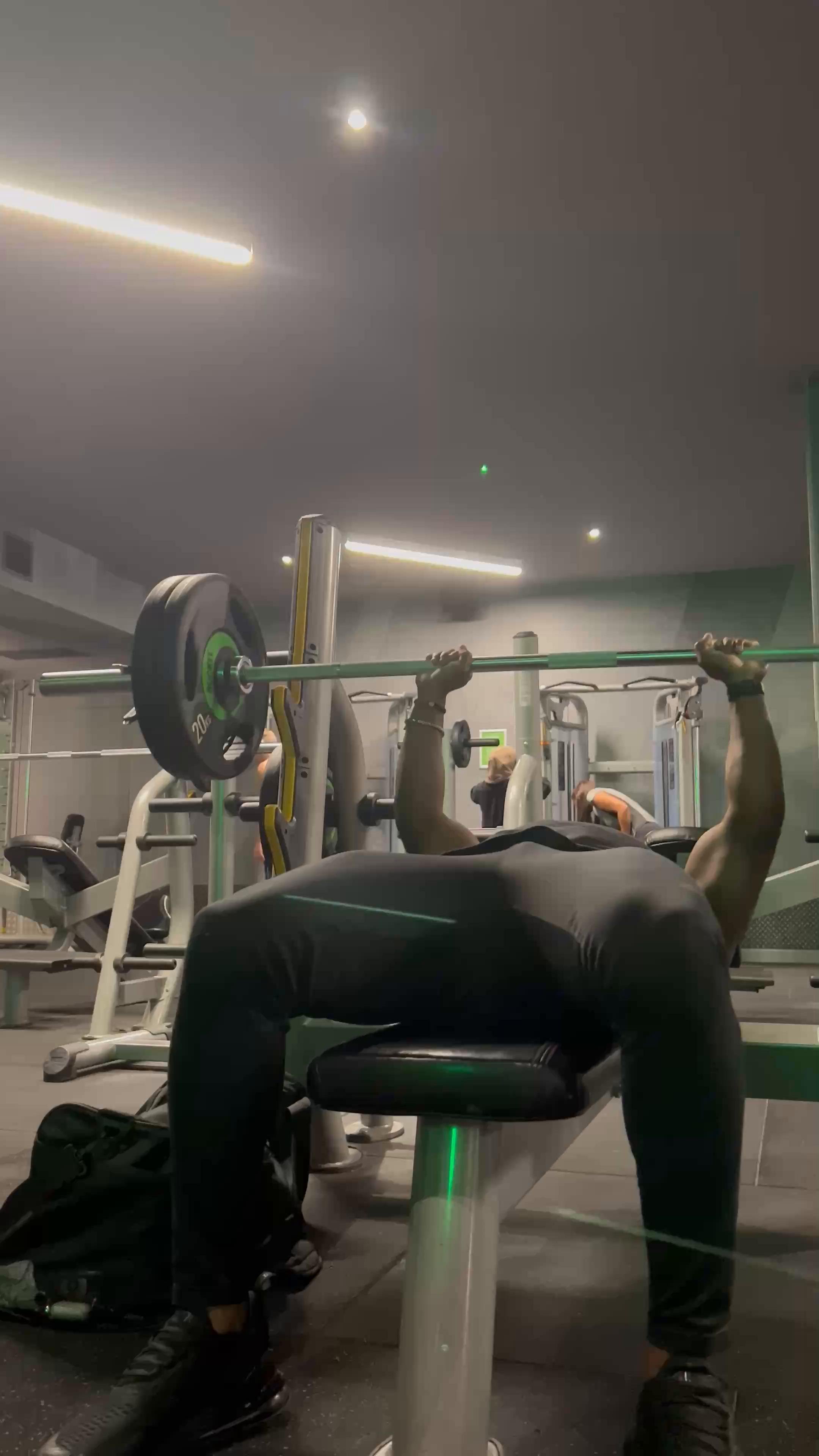 Chest & Biceps