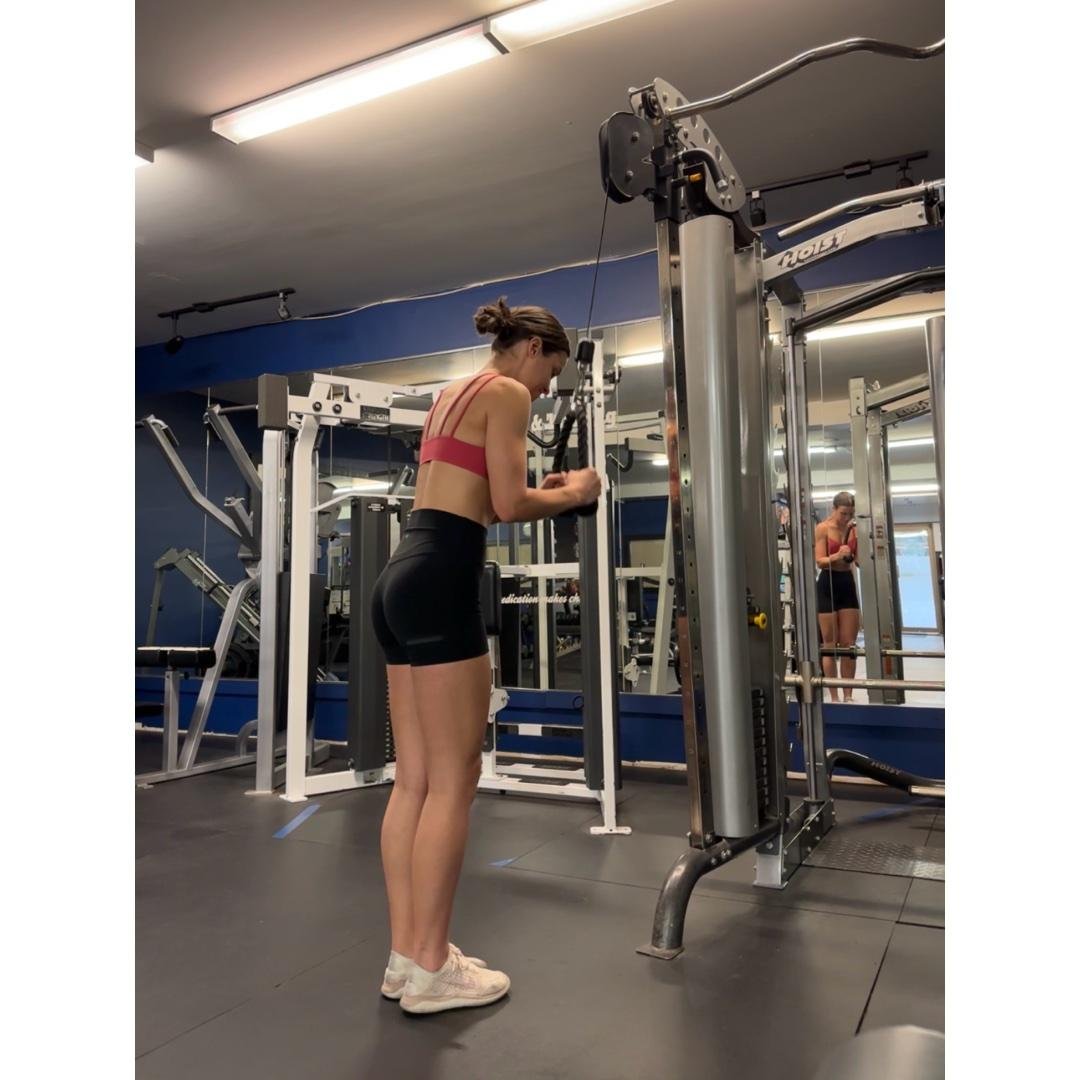 Day 3: Chest, Triceps