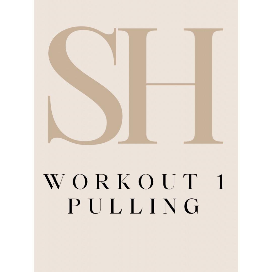 Workout 1: Pulling