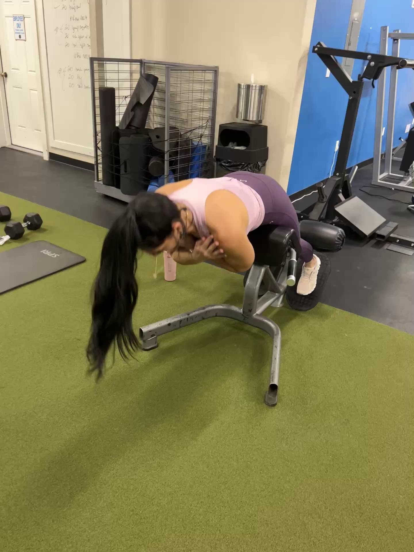 Back/Biceps
