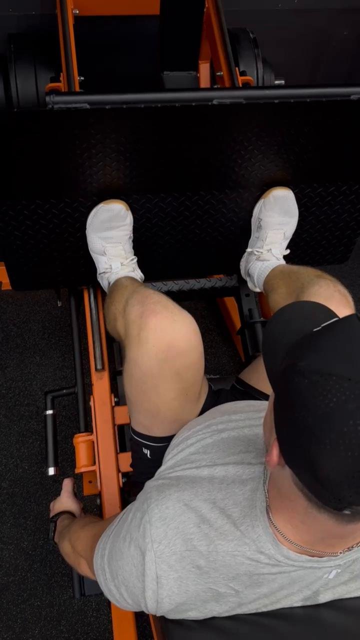 Legs