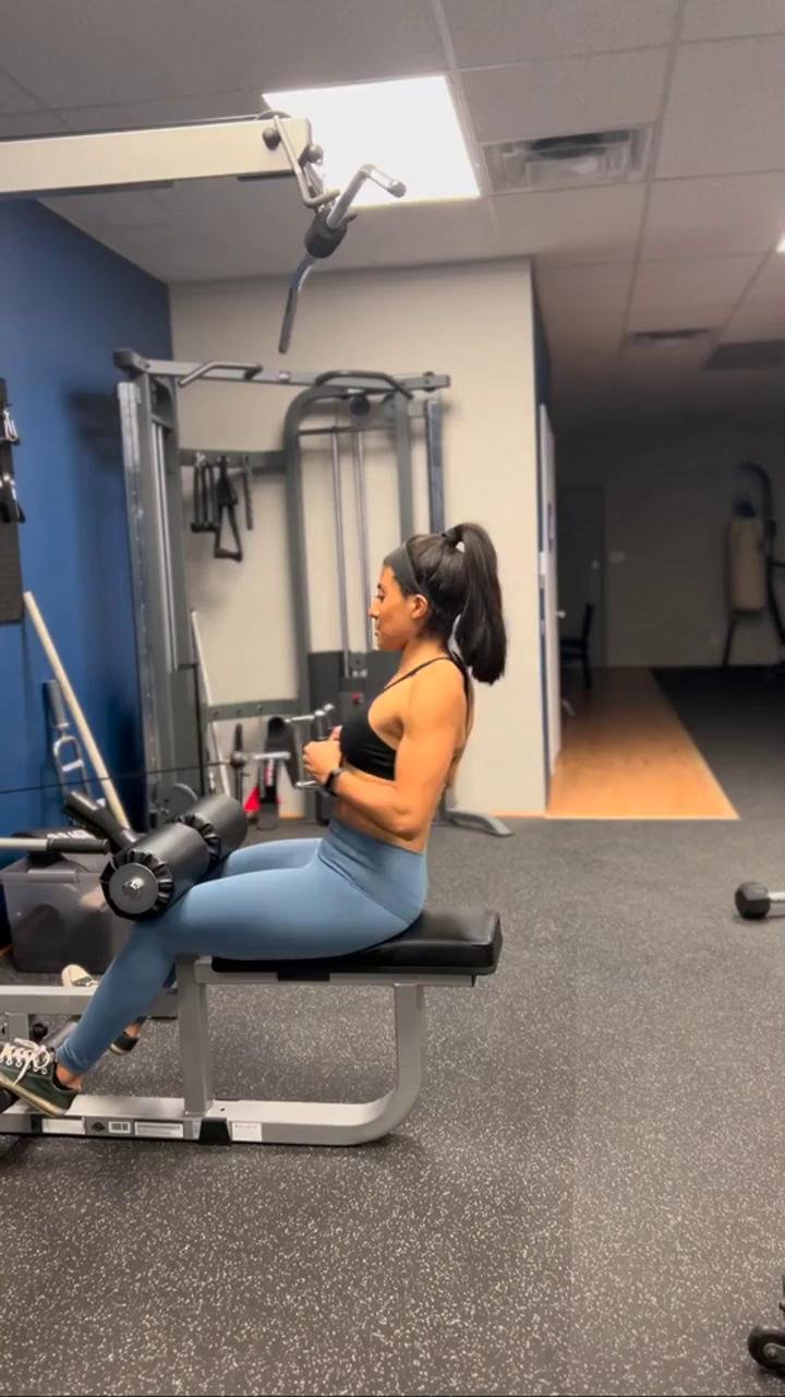 - Back and Biceps