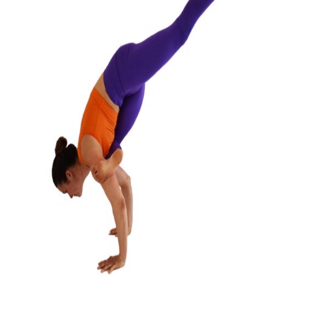 DAY FOUR: FLYING PIGEON