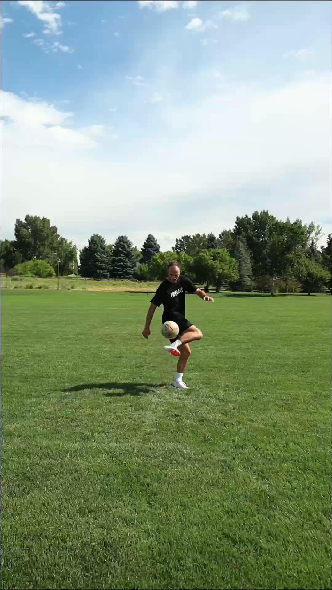 Insides, Laces, Outsides Pattern