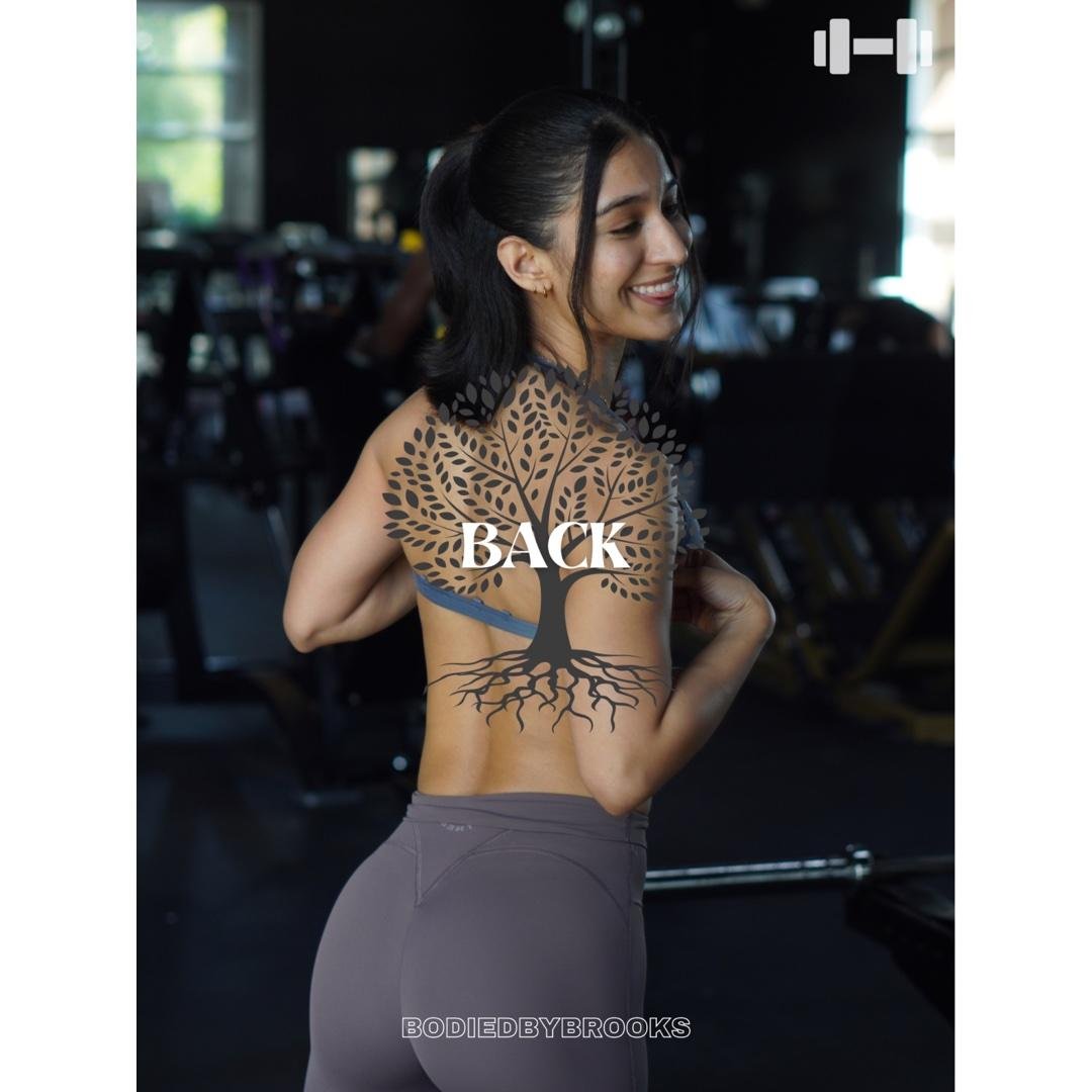 Back 1