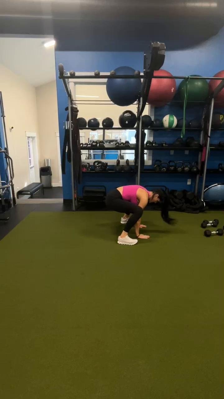 Shoulders/Biceps/Chest