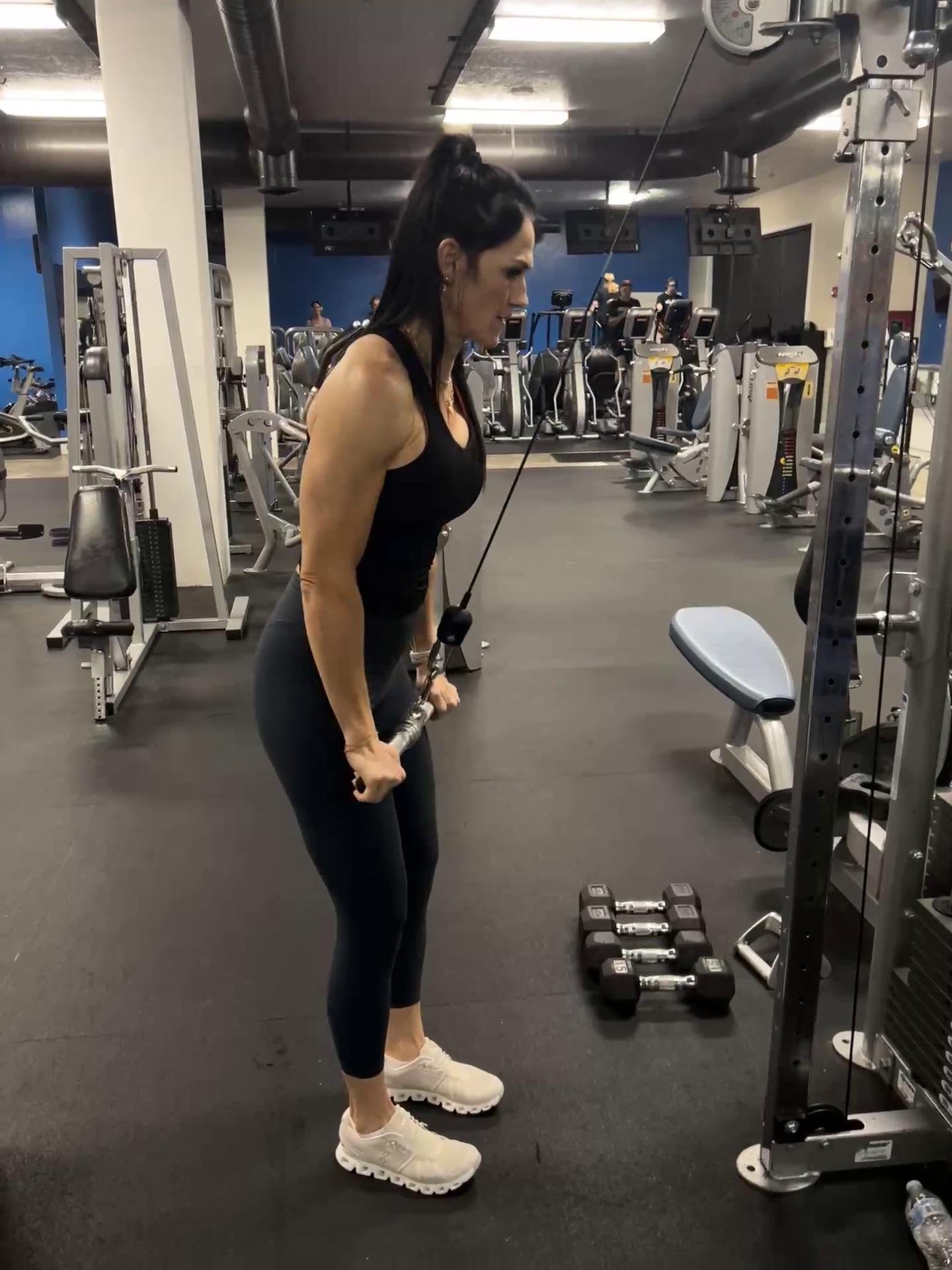 Back/Triceps
