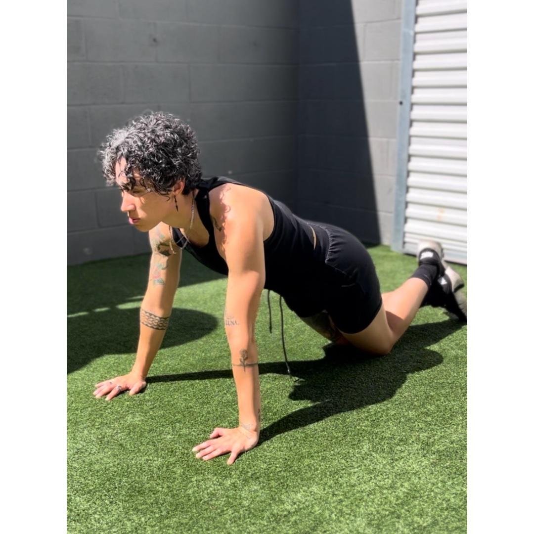 Modified Push up Progression.