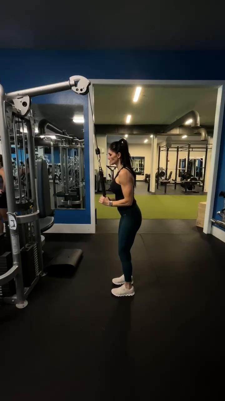 Back/Triceps