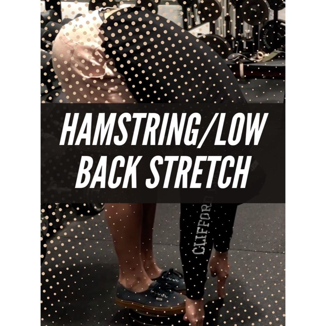 Mobility: Progressive Hamstring & Low Back Stretch