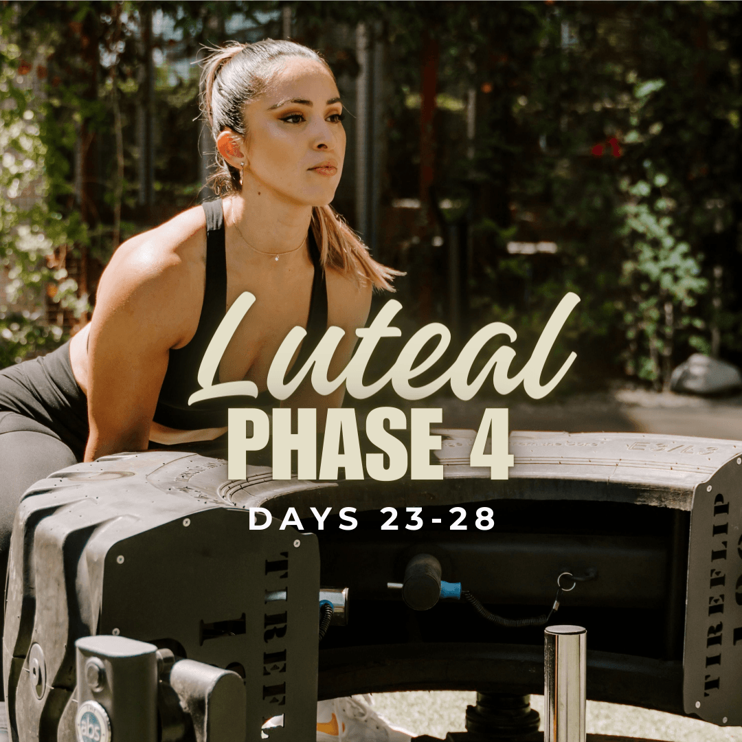 Full Body Dumbbells