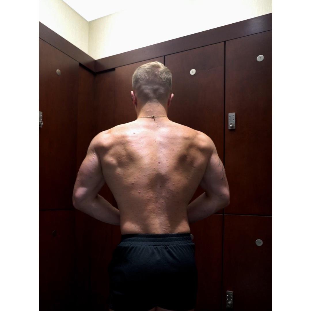 Back/Rear Delts