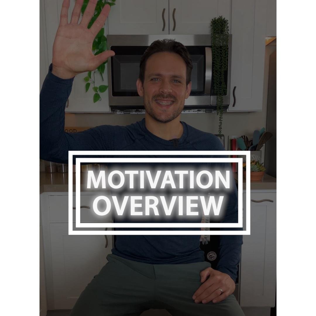 2 • MOTIVATION OVERVIEW